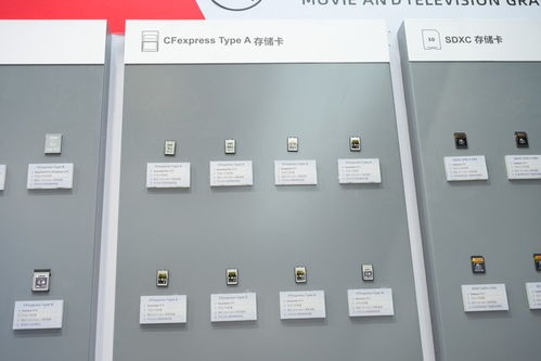 至譽科技2024 引領高速存儲新紀元，重塑數碼存儲卡未來